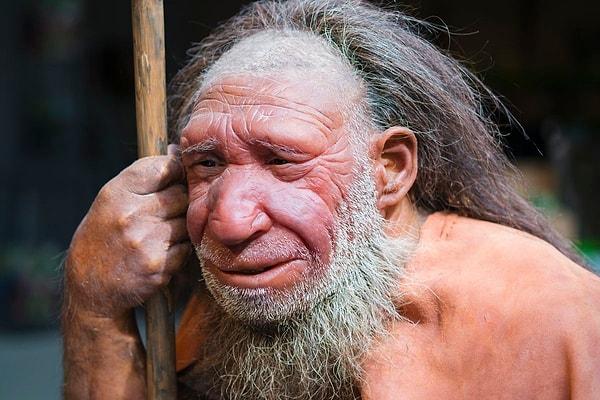Fosil bulguları, Neandertaller ile Homo sapiens arasındaki belirgin fiziksel farkları gözler önüne seriyor.