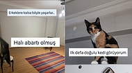 Her Ne Yapıyorsanız Bırakıp Okumanız Gereken Haftanın En Komik Tweetleri