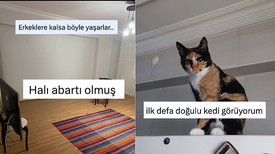 Her Ne Yapıyorsanız Bırakıp Okumanız Gereken Haftanın En Komik Tweetleri