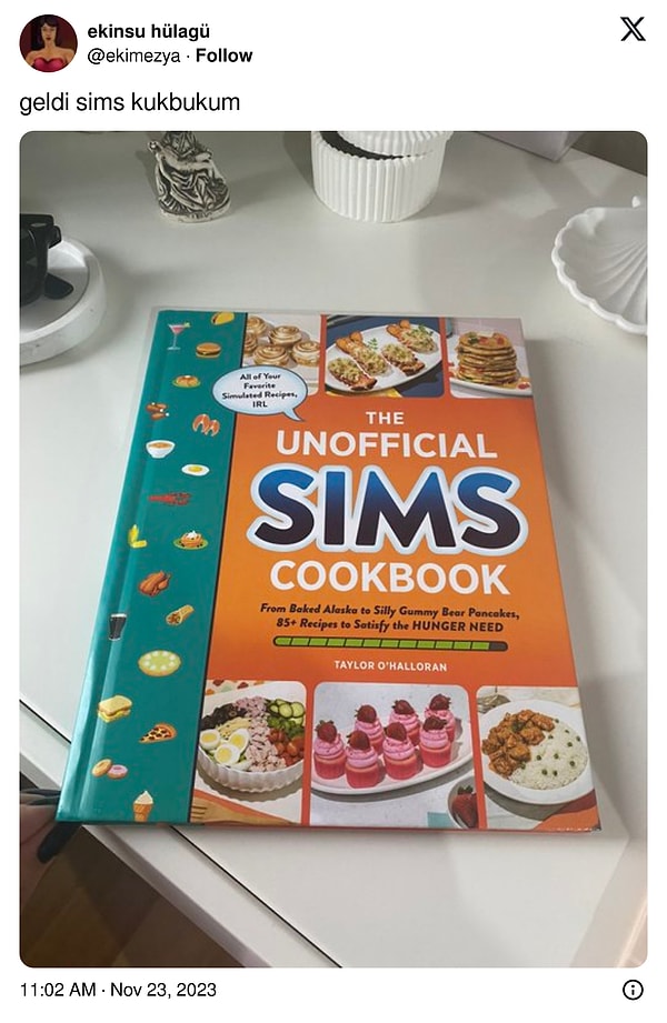 Sims yemek kitabım olsa 100 derdimin 99’u çözülür gibi.
