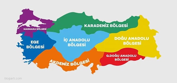En çok kadın belediye başkanı seçilen bölge ise 46 kadın ile Güney Doğu Anadolu Bölgesi ve 31 kadın ile Doğu Anadolu Bölgesi.