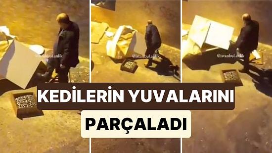 İstanbul'da Bir Vatandaş Kedilerin Bastıran Soğuklardan Korunmaları İçin Yapılan Yuvayı Parçaladı
