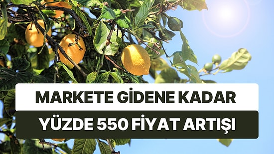 Marketlerde Fiyatlar Artmaya Devam Ediyor: Üreticiden Markete Fiyatı En Çok Artan Ürün Limon Oldu