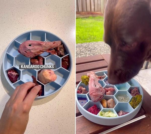 Sosyal medyada gündem olan görüntülerde, Bear isimli köpeğin beslenme menüsünü görenler 'Bizden daha iyi besleniyor' dedi.