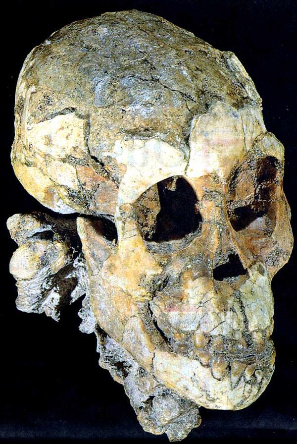 Bu benzersiz ikili uydu sistemine "Selam" adı verildi, bu isim aynı zamanda "Lucy'nin bebeği" olarak bilinen ve Etiyopya'da bulunan 3 yaşındaki bir kız çocuğuna ait hominin fosili Selam'dan geliyor.