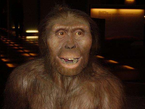 Lucy uzay aracının adı da 1974'te Etiyopya'da keşfedilen ve yaklaşık 3,2 milyon yıl önce yaşadığı düşünülen Australopithecus afarensis türünden bir dişiye ait fosilden alınmıştı.