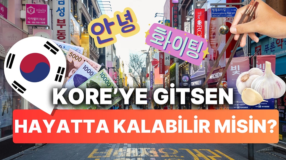 Bu Evet Hayır Testine Göre Kore'ye Gitsen Hayatta Kalabilir misin?