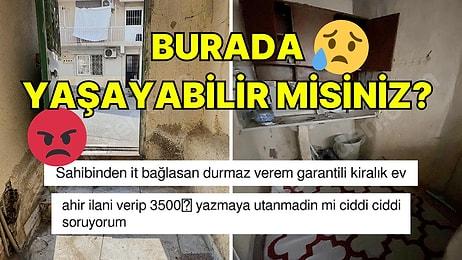 İzmir'de 2+0 Kiralık Ev İlanını Uygun Fiyatlı Bulup Tıklayanlar Şok Geçirdi!