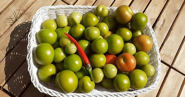 15. Yeşil domateslerinizi kağıt havluyla örtün ve karanlık bir yere koyun, birkaç hafta içinde parlak kırmızı domateslere sahip olacaksınız.