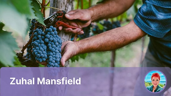 Hasat Mevsiminin Bana Hatırlattıkları…