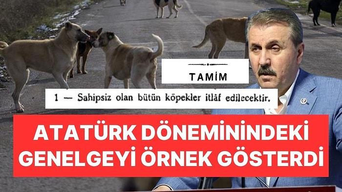 Mustafa Destici, Sokak Köpekleriyle İlgili Atatürk Döneminde Çıkan Genelgenin Uygulanmasını İstedi