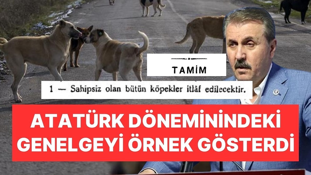 Mustafa Destici, Sokak Köpekleriyle İlgili Atatürk Döneminde Çıkan Genelgenin Uygulanmasını İstedi