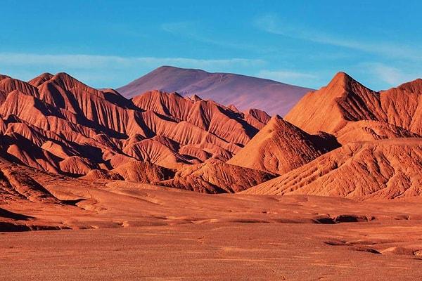 Arjantin'de, Puna de Atacama platosunda yer alan ve yaklaşık 3700 metre rakımda bulunan bir çölde bilimsel açıdan dikkat çekici bir ekosistem keşfedildi.