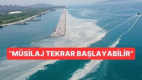 Marmara Denizi'ndeki Sıcaklık Artışıyla Oluşabilecek Tehditler Yeniden Gündeme Geldi