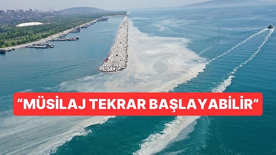 Marmara Denizi'ndeki Sıcaklık Artışıyla Oluşabilecek Tehditler Yeniden Gündeme Geldi