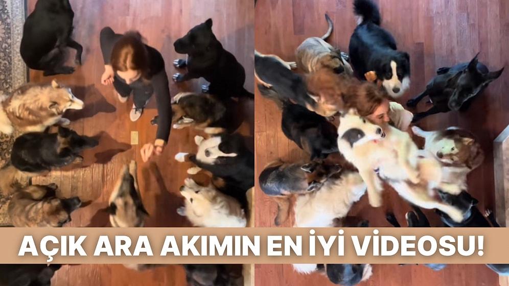 TikTok’un Meşhur Akımına Köpekleriyle Katılan Kadının Videosu İçinizi Isıtacak