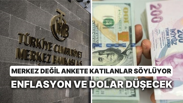 TCMB'nin Anketinde, Enflasyon da Dolar da Düştü