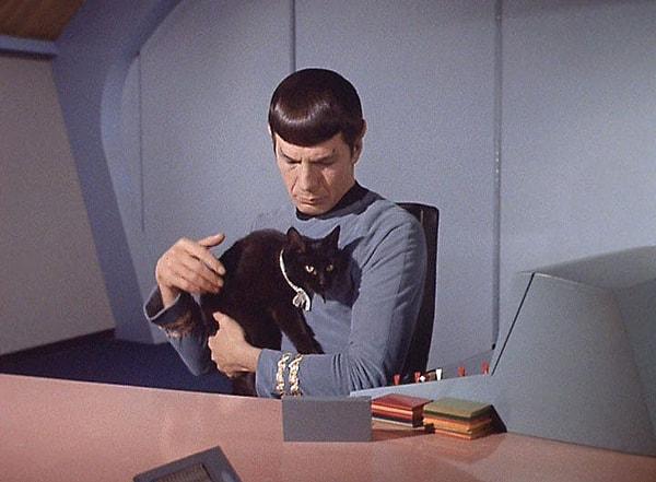 "Star Trek" yaratıcısı Gene Roddenberry'nin eşi 2008'de evcil hayvanlarına yaklaşık 3,3 milyon dolar bıraktı.