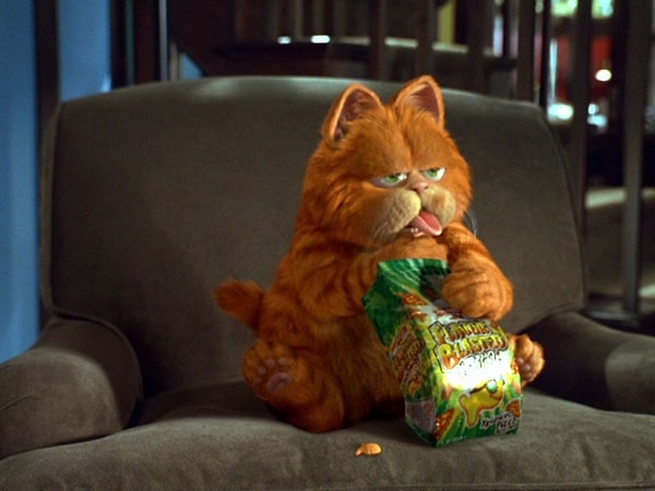 Bu zamana kadar izleseniz de izlemeseniz de illaki Garfield'a maruz kalmışsınızdır.