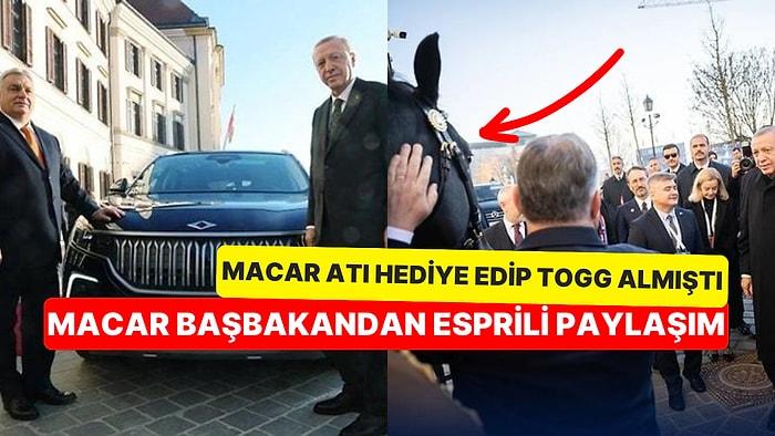 Erdoğan'ın Togg Hediyesine Karşılık Macar Atı Hediye Eden Viktor Orban'ın Esprili Paylaşımı Gündem Oldu