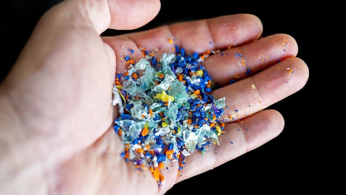 Here Is What You Need to Know About Recycling Unveiling Startling Insights