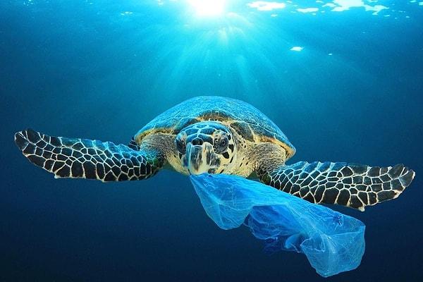 How do These Non-Biodegradable Plastics Harm Living Beings?