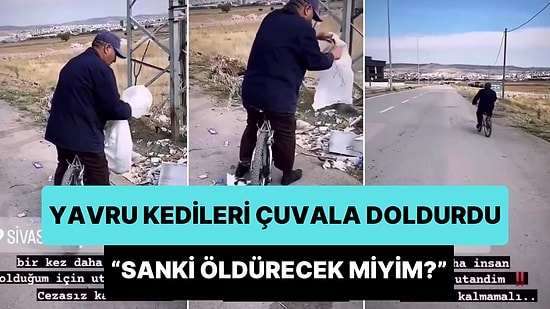 Yavru Kedileri Çuvala Dolduran Kişiden Pişkin Savunma: 'Sanki Öldürecek miyim?'