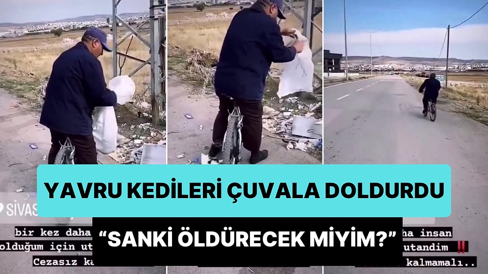 Yavru Kedileri Çuvala Dolduran Kişiden Pişkin Savunma: 'Sanki Öldürecek miyim?'