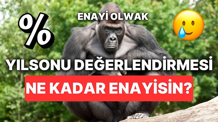 2023 Yılında Yaptıklarına Göre Ne Kadar Enayisin?