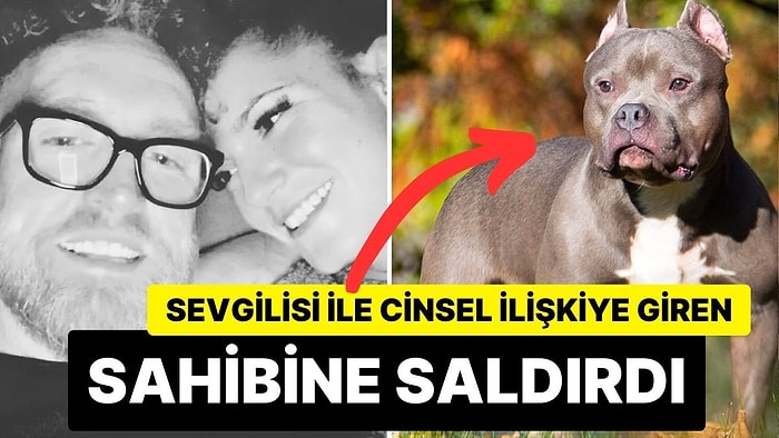 Sevgilisi ile Cinsel İlişkiye Giren Adam, Köpeğinin Saldırısına Uğradı: Köpek İtlaf Edilecek!