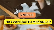 İzmir’de Hayvan Dostunuzla Rahatça Gidebileceğiniz Mekanlar Listesi