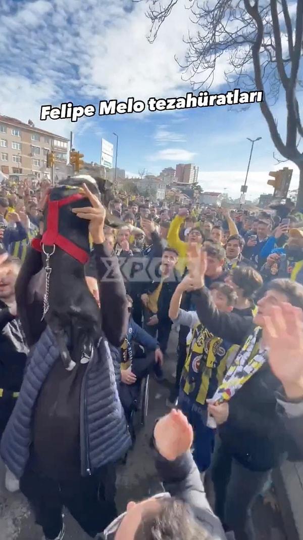 Fenerbahçe taraftarlarının "Felipe Melo" tezahüratını köpeği yukarıya kaldırarak yapması bir şekilde Felipe Melo'ya iletildi.