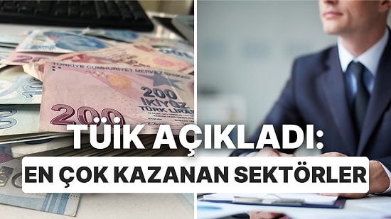 TÜİK En Çok Kazanan Sektörleri Açıkladı: Erkekler Kadınlara Fark Attı