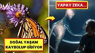 Dünyadaki Yaşamın Hepimiz İçin Gün Geçtikçe Daha Kötüye Gittiğinin Kanıtlayan 18 Durum