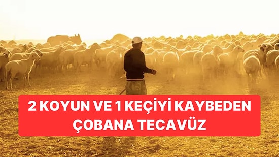 Konya’da Dehşete Düşüren Olay: 1 Keçi ve 2 Koyun Kaybeden Çobana Tecavüz Etmişler
