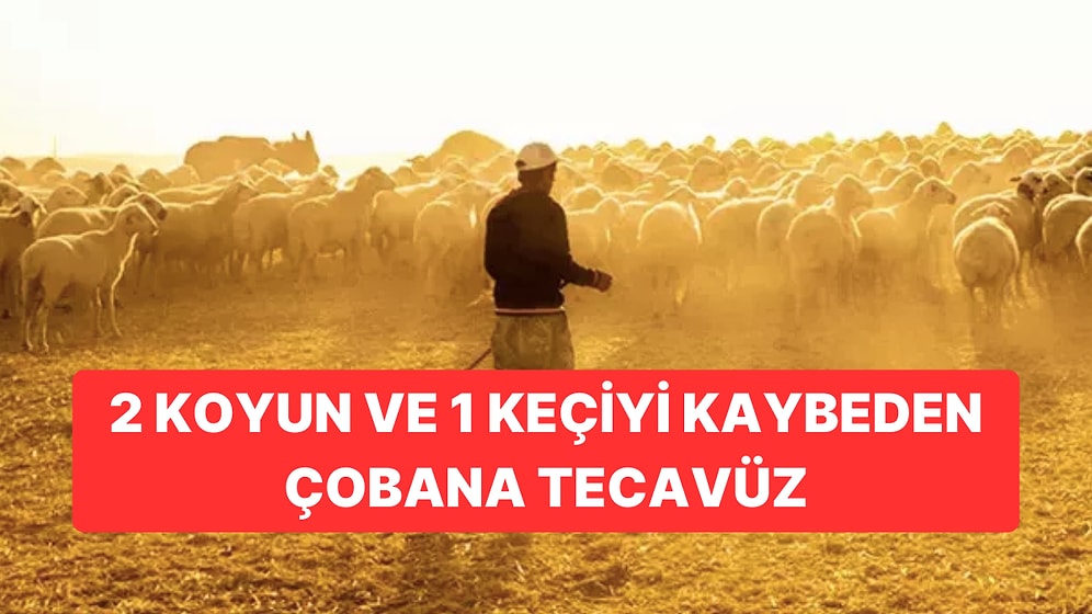 Konya’da Dehşete Düşüren Olay: 1 Keçi ve 2 Koyun Kaybeden Çobana Tecavüz Etmişler