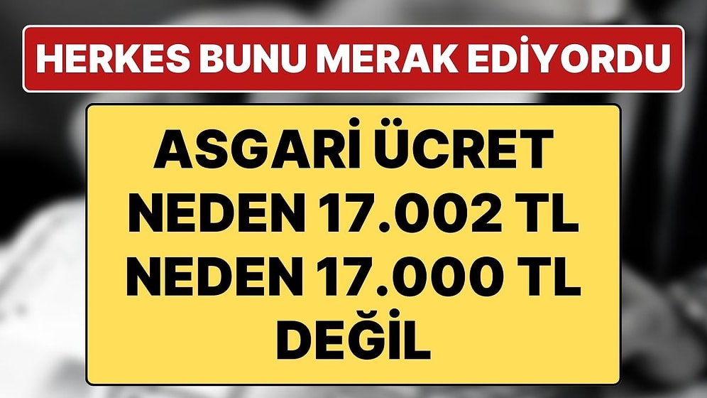 17.002 TL Olarak Açıklanan Asgari Ücretteki 2 TL Ne Anlama Geliyor? Asgari Ücret Neden Küsuratlı?