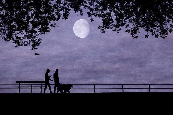 5. Taking a walk in the moonlight