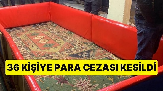 Hayvanları Koruma Derneğinde Horoz Dövüşü! 36 Kişiye Para Cezası Kesildi
