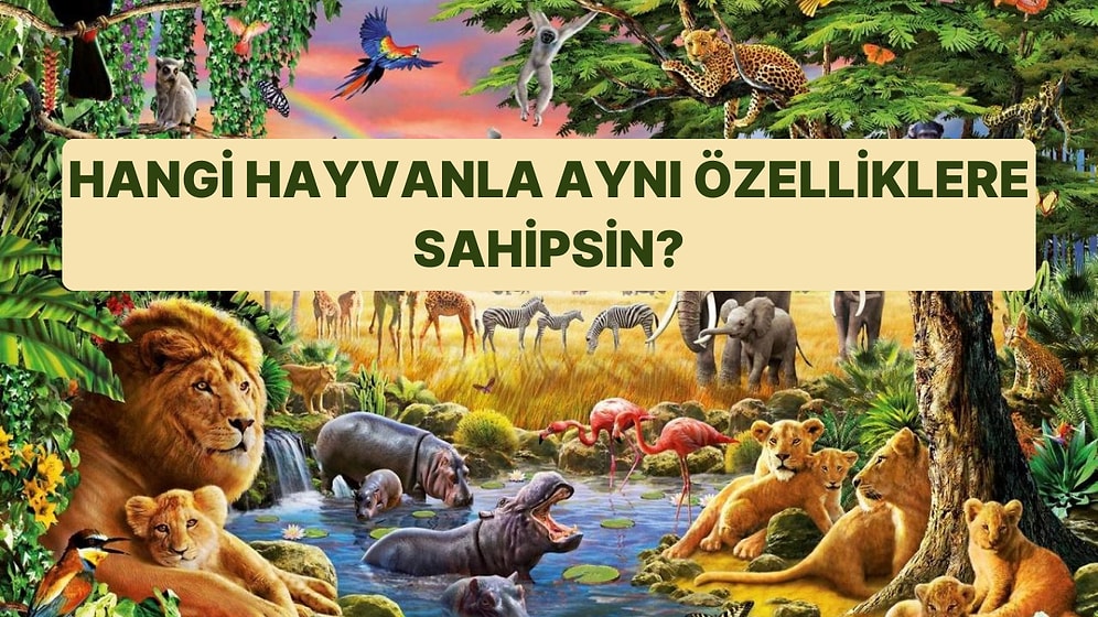 Sen Hangi Hayvanın Özelliklerini Taşıyorsun?