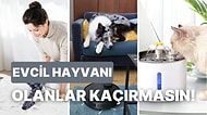 BİM'e Gelse de Alsak Diye Beklediğiniz Evcil Hayvanla Yaşamayı Kolaylaştıran Ürünler