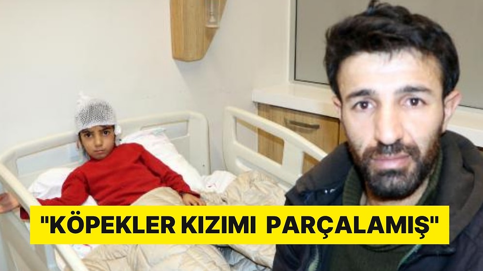Korkunç Olay! Sokak Köpeklerinin Saldırdığı 8 Yaşındaki Ela'nın Kulağı Koptu: ''Çok Zor Bir Durum''