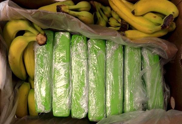 Narkotik dedektör köpekleriyle yapılan bir aramada, muz yüklü konteynerde gizli bir bölmede 77 kilogram kokain bulundu.