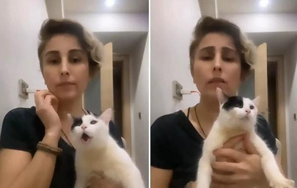 'Keçi' isimli minik kedinin videosuna sosyal medyada mutlaka rastlamışsınızdır. Çünkü Keçi, inatçılığı ile herkesi güldürmeyi başardı.