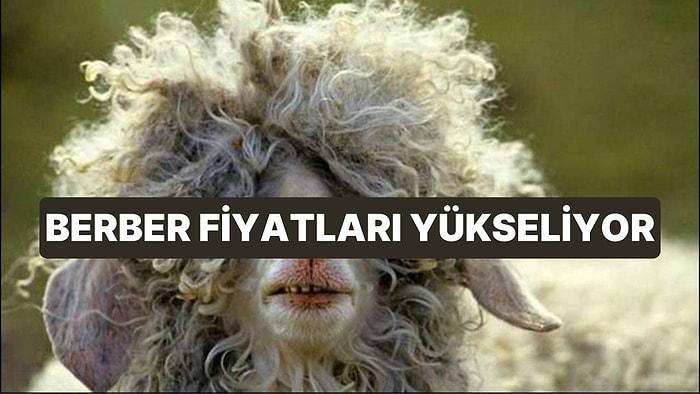Kes Traşı! İstanbul'da Berber Fiyatlarına Gelen Zam Saç Sakal Karıştıracak Cinsten Oldu