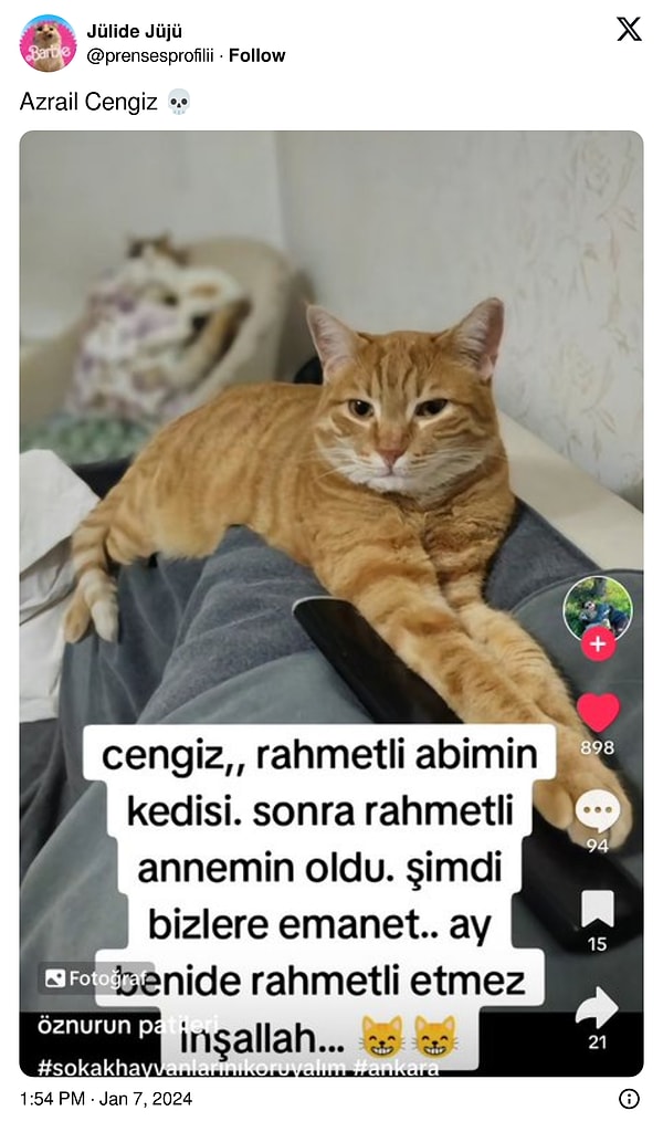 Cengiz'in suçu değil gibi?