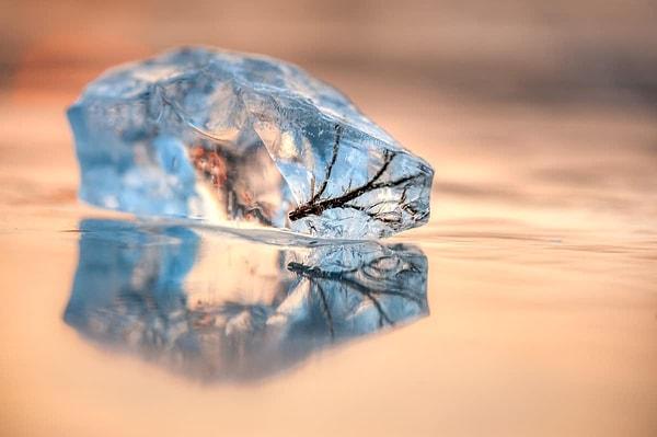 Piet Haaksma (Hollanda) tarafından "Ice Fossiel" - Samimi Manzara İkincilik Ödülü: