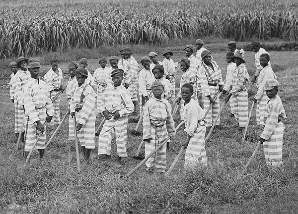 6. Zincirlenmiş çocuk hükümlüler tarlalarda çalışıyorken çekilmiş bir fotoğraf. Güneyli eyaletlerde bulunan hapisler para kazanmak için mahkumları iş gücü olarak kullanırdı. (1903)