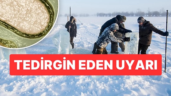 Yeni Bir Salgına Yol Açabilir! Bilim İnsanlarından "Arktik Zombi Virüsü" Açıklaması