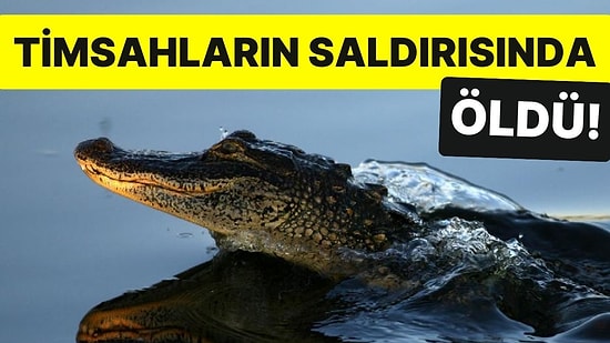 'Sahte Peygamberin' Nehirde Vaftiz İsteği Kötü Sonlandı: Timsahların Saldırısında Öldü